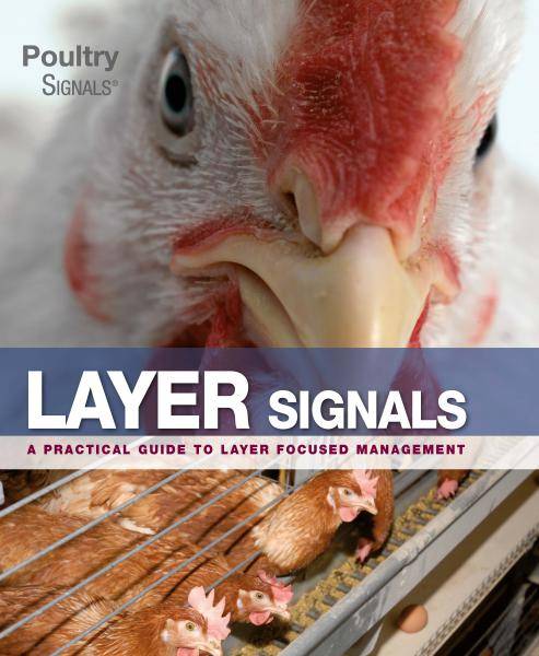 Download Layer Signals 9789087401245 Roodbont Publishers